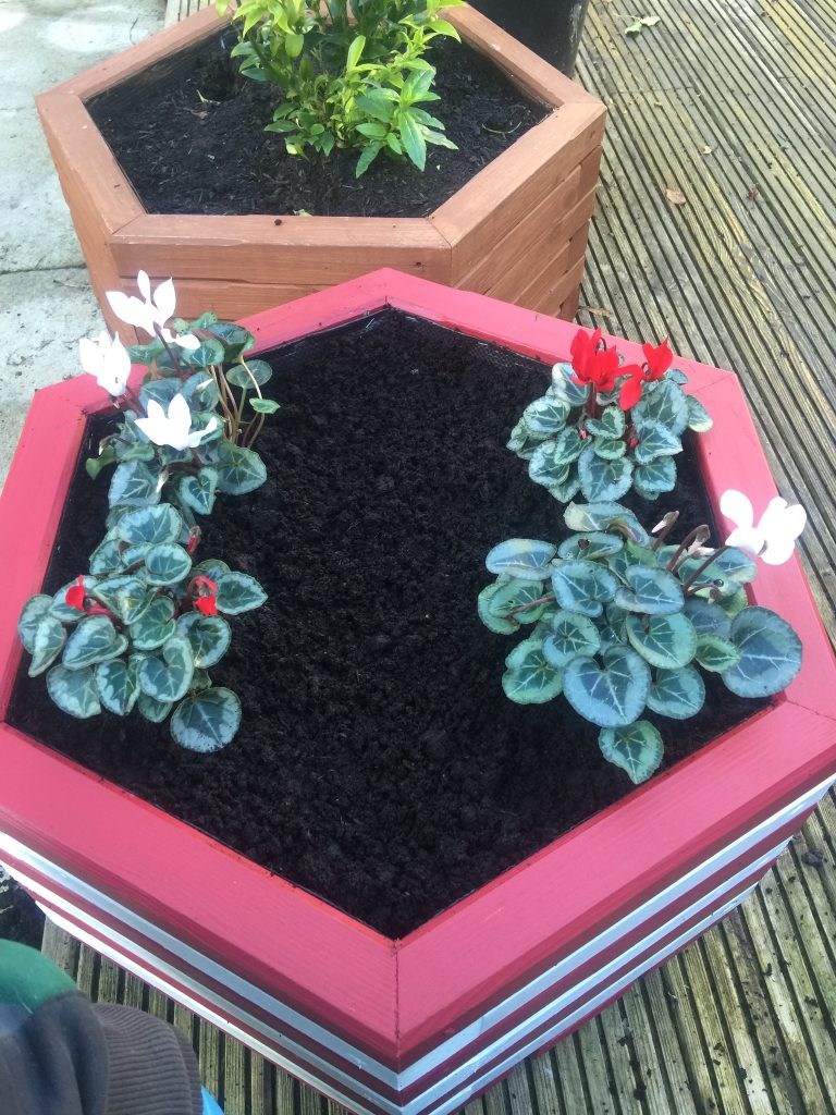 Red and White planter