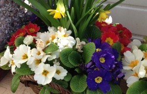 Spring flower basket