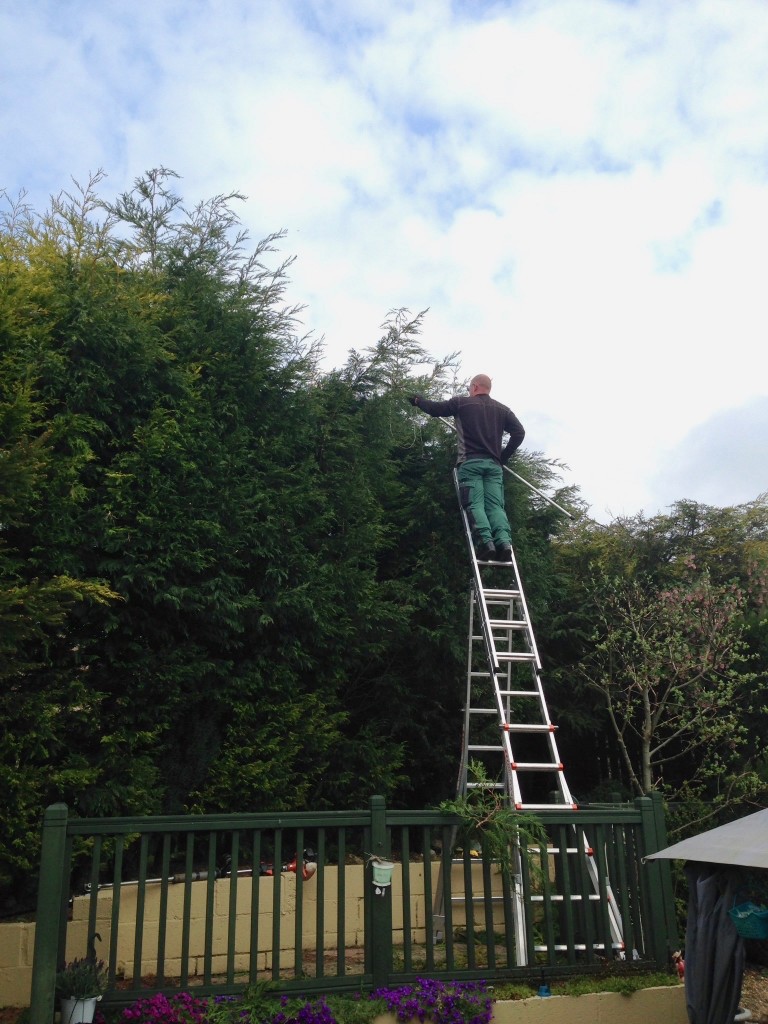 High Hedge Trimming ladders