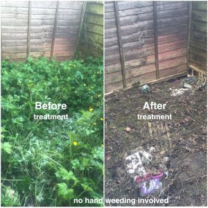 no hand weeding involved