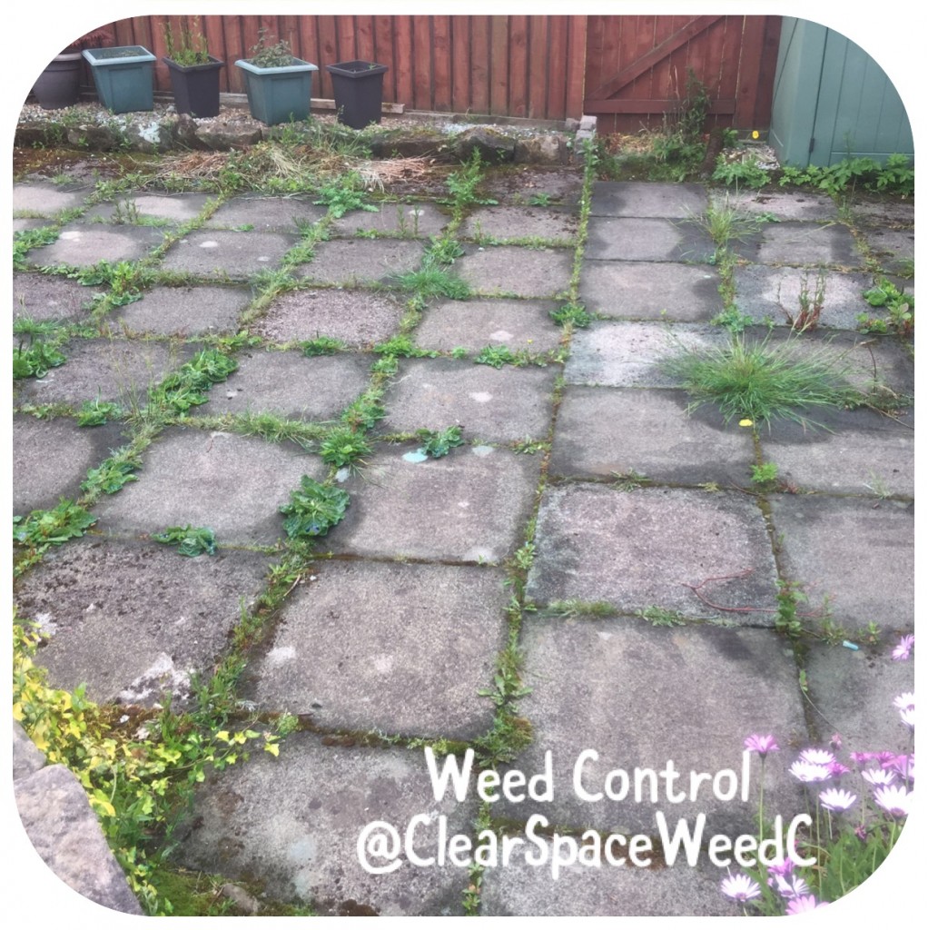 Weed Control Clear Space Weed Control