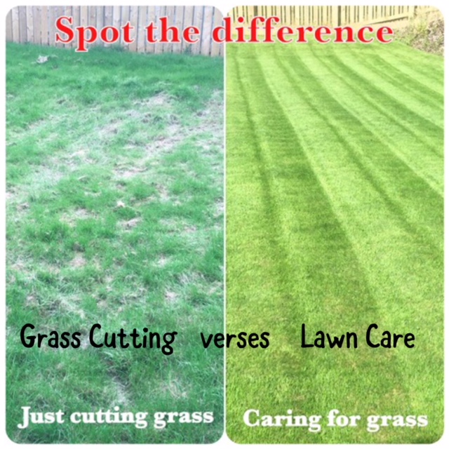 Grass Cutting verses Lawn Care