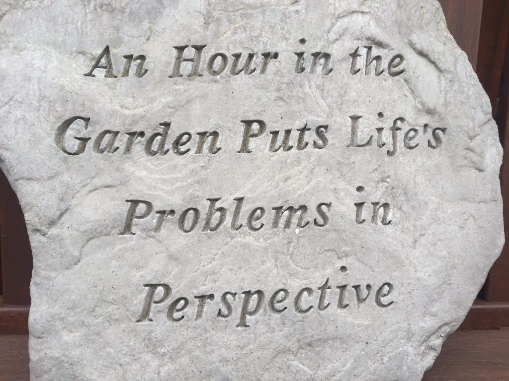 A hour in the garden A hour in the garden