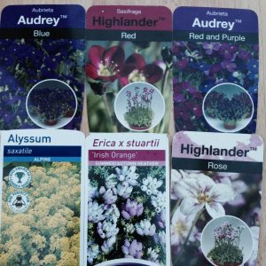 alpine plant labels