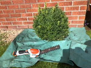 Stihl HSA 25 shrub shears