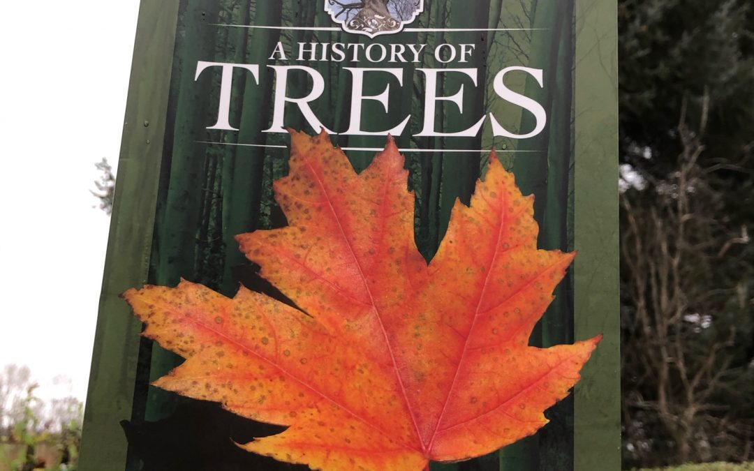 History of Trees - front cover