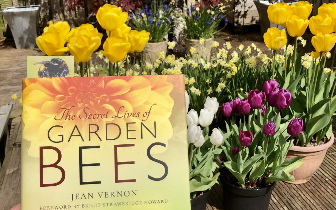 The Secret Lives of Garden Bees - front cover