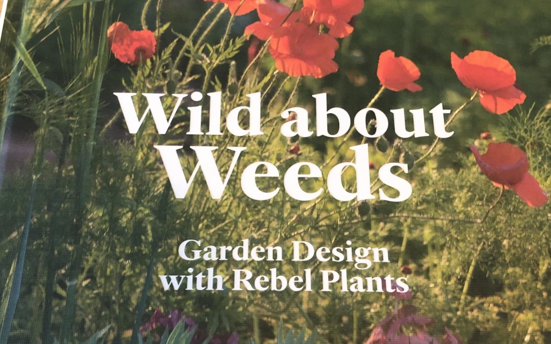 Wild About Weeds front cover - book review