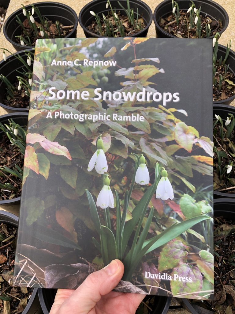 Some Snowdrops - front cover