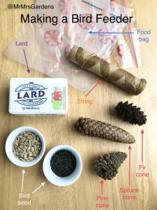 Making a Tree Cone bird Feeder - How to Get Kids Gardening