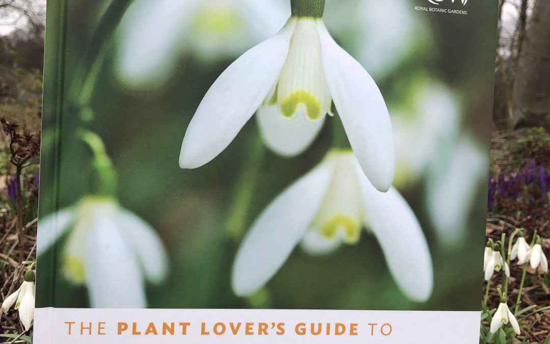 A Plant Lover's Guide to Snowdrops - front cover