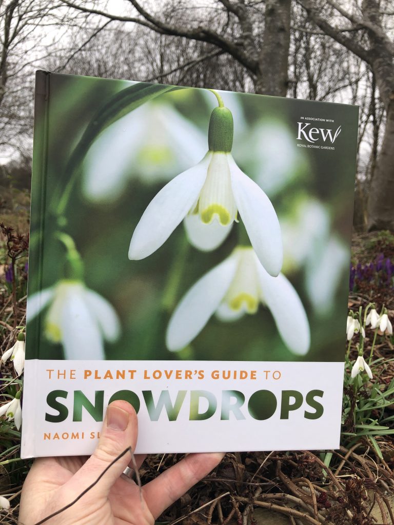 A Plant Lover's Guide to Snowdrops - front cover A Plant Lover's Guide to Snowdrops - front cover