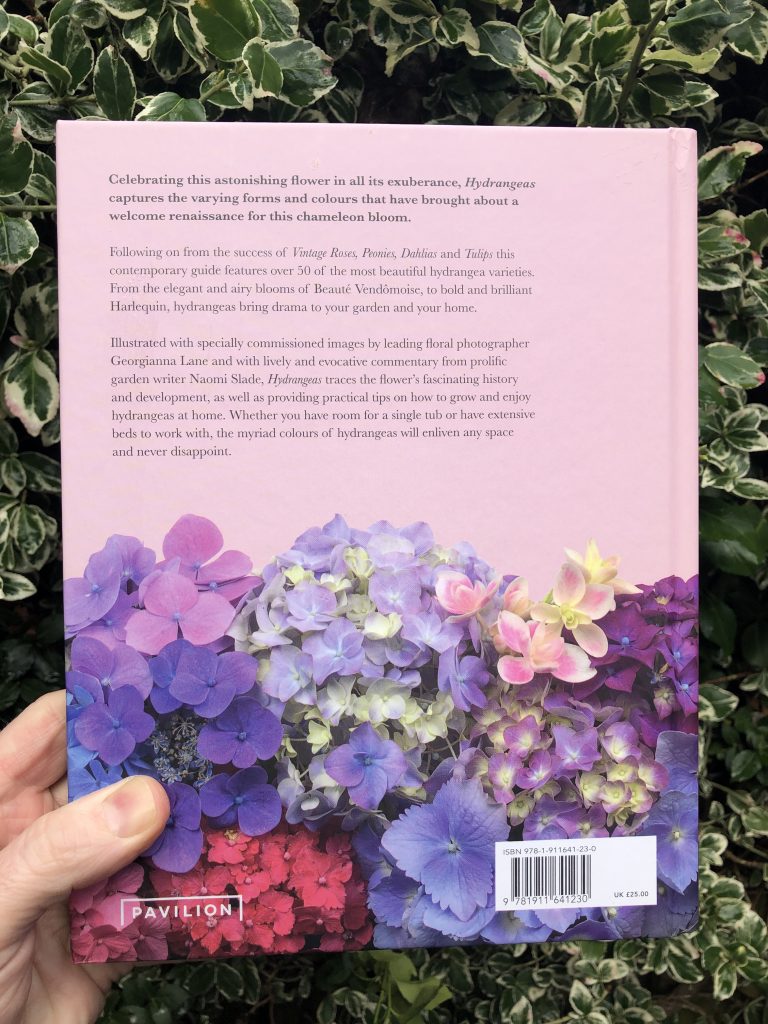 Hydrangeas - rear cover