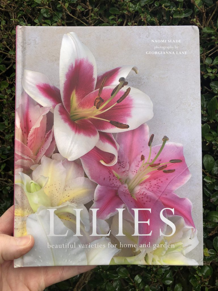 Lilies - front cover