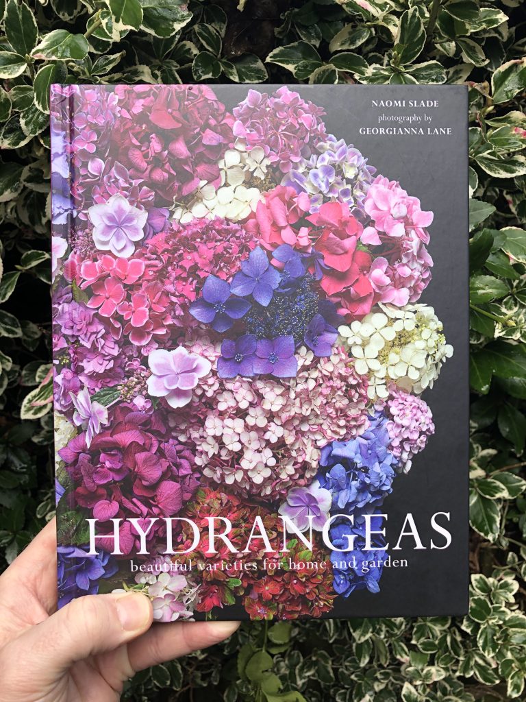 Hydrangeas - front cover