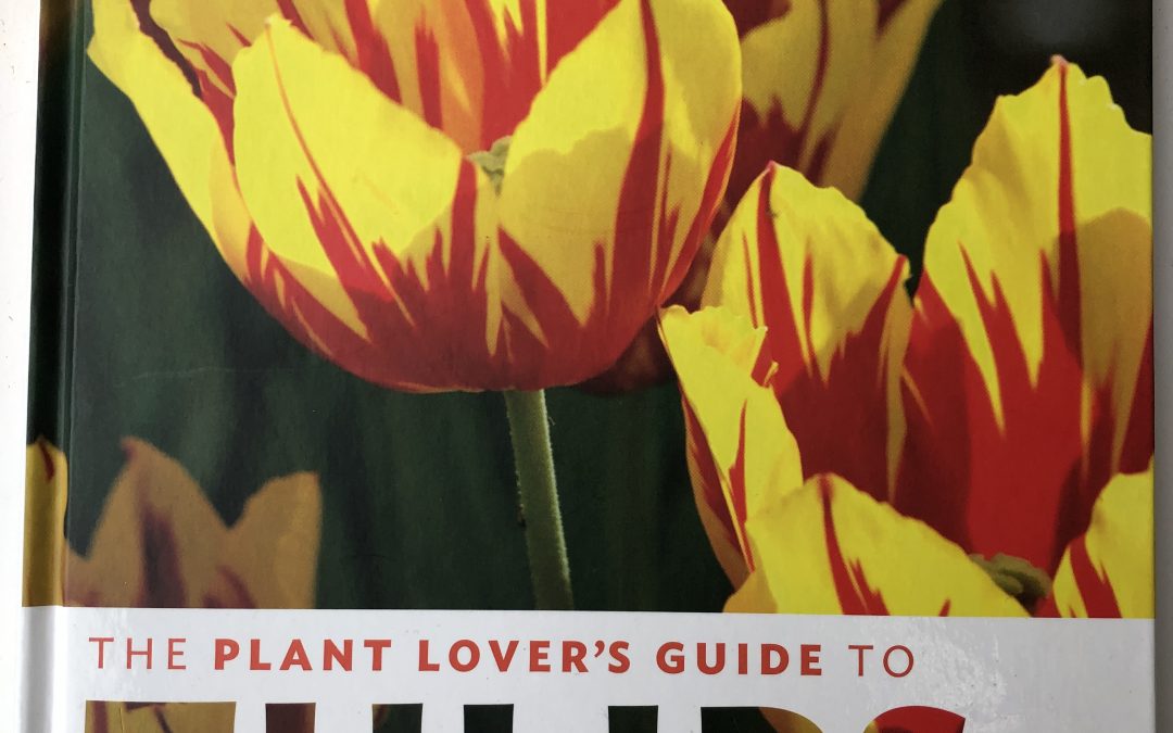 The Plant Lover's Guide to Tulips - front cover