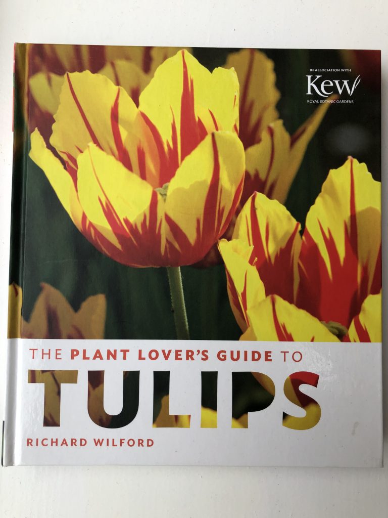 The Plant Lover's Guide to Tulips - front cover The Plant Lover's Guide to Tulips - front cover